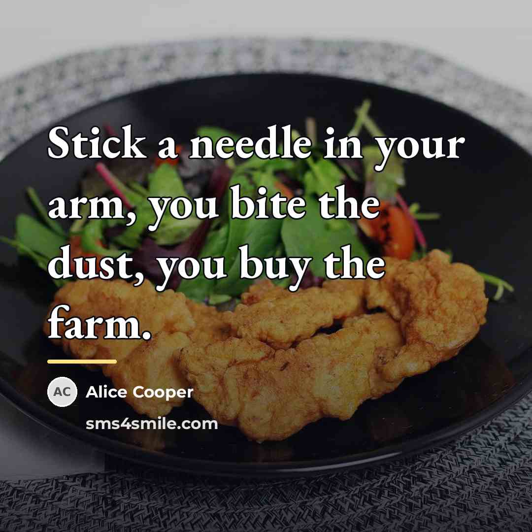 “Stick a needle in your arm, you bite the dust,…” quote by Alice Cooper