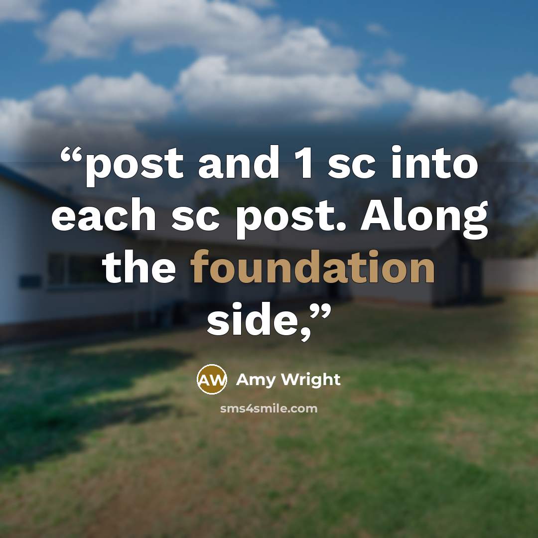 “post and 1 sc into each sc post. Along the foundation side,” quote by Amy Wright