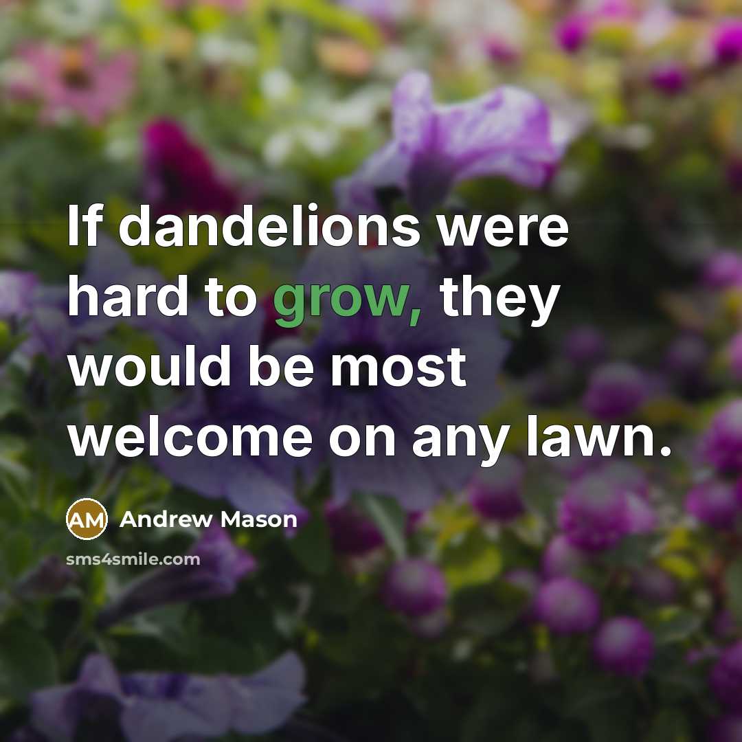 “If dandelions were hard to grow, they would be most…” quote by Andrew Mason