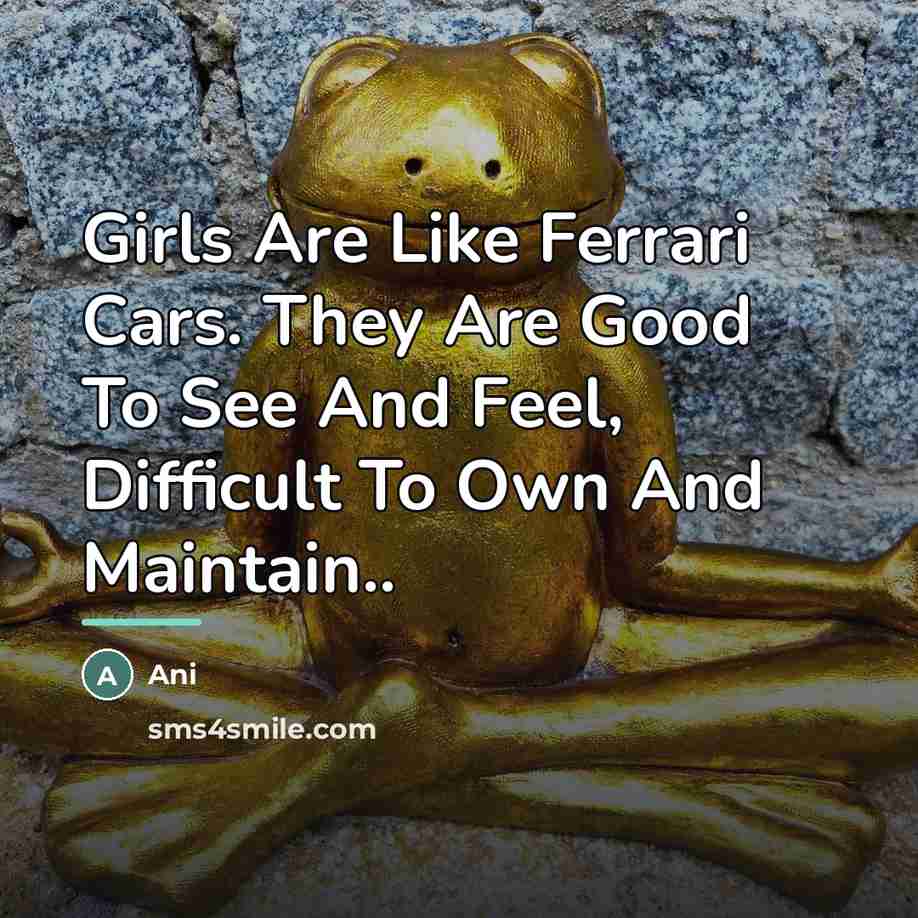 “Girls Are Like Ferrari Cars. They Are Good To See…” quote by Ani