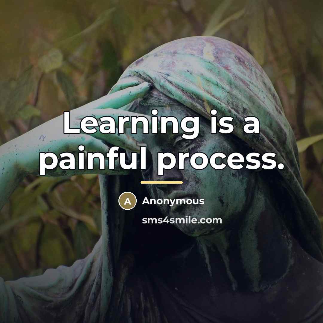 “Learning is a painful process.…” quote by Anonymous