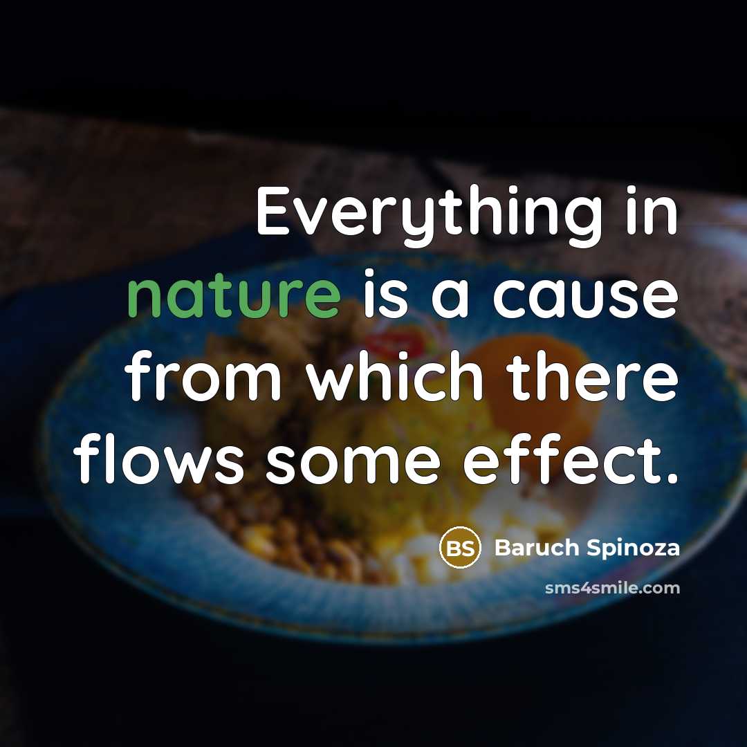 “Everything in nature is a cause from which there flows…” quote by Baruch Spinoza