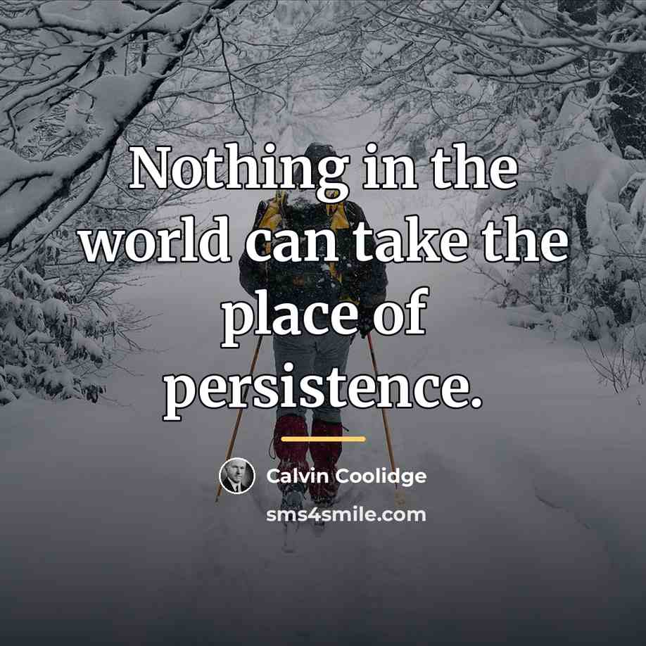 “Nothing in the world can take the place of persistence.…” quote by Calvin Coolidge