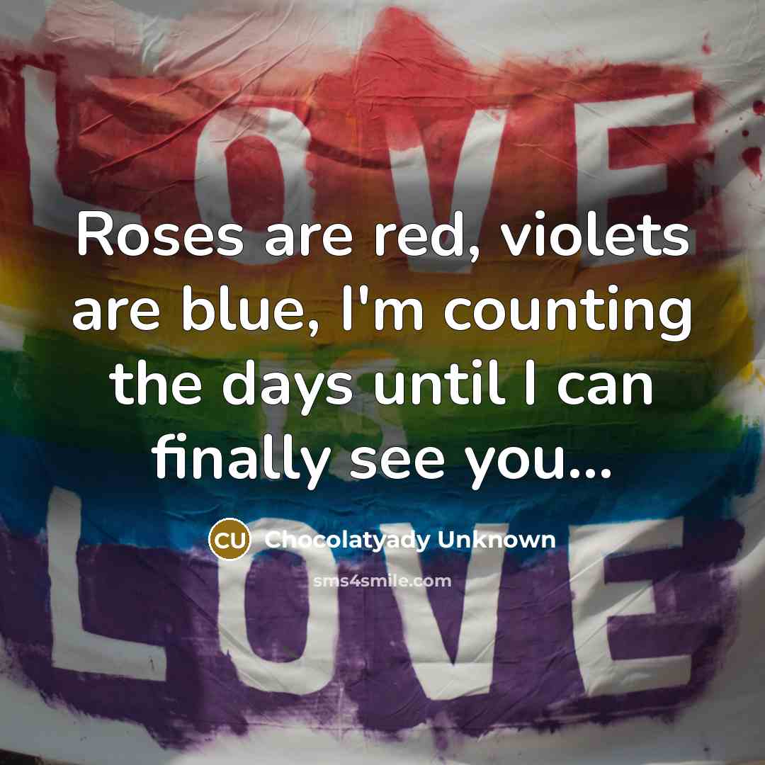 “Roses are red, violets are blue, I'm counting the days…” quote by Chocolatyady Unknown