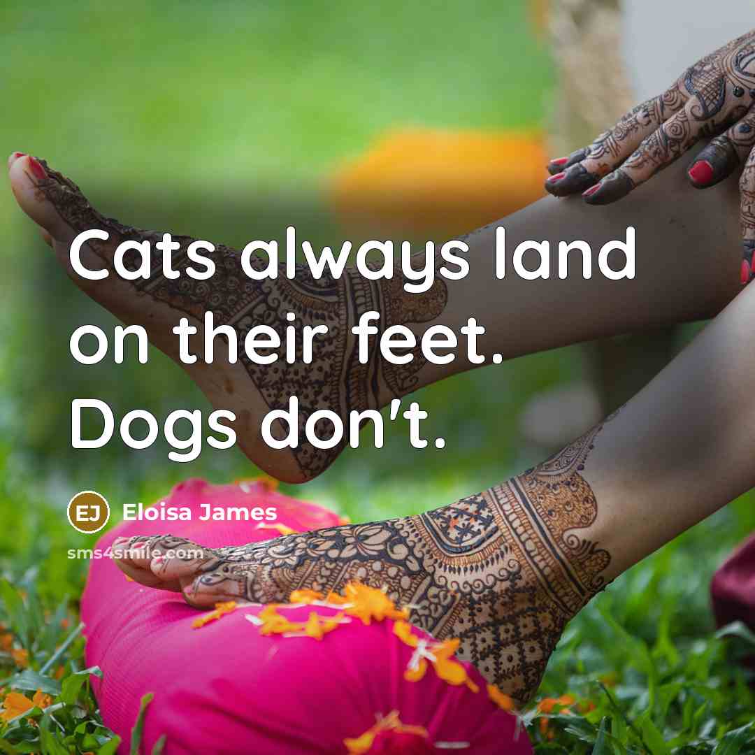 “Cats always land on their feet. Dogs don't.…” quote by Eloisa James