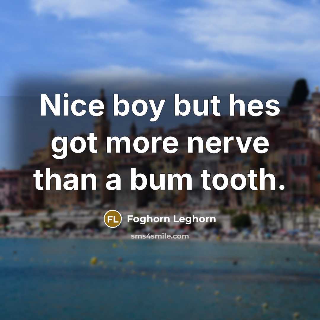 “Nice boy but hes got more nerve than a bum…” quote by Foghorn Leghorn