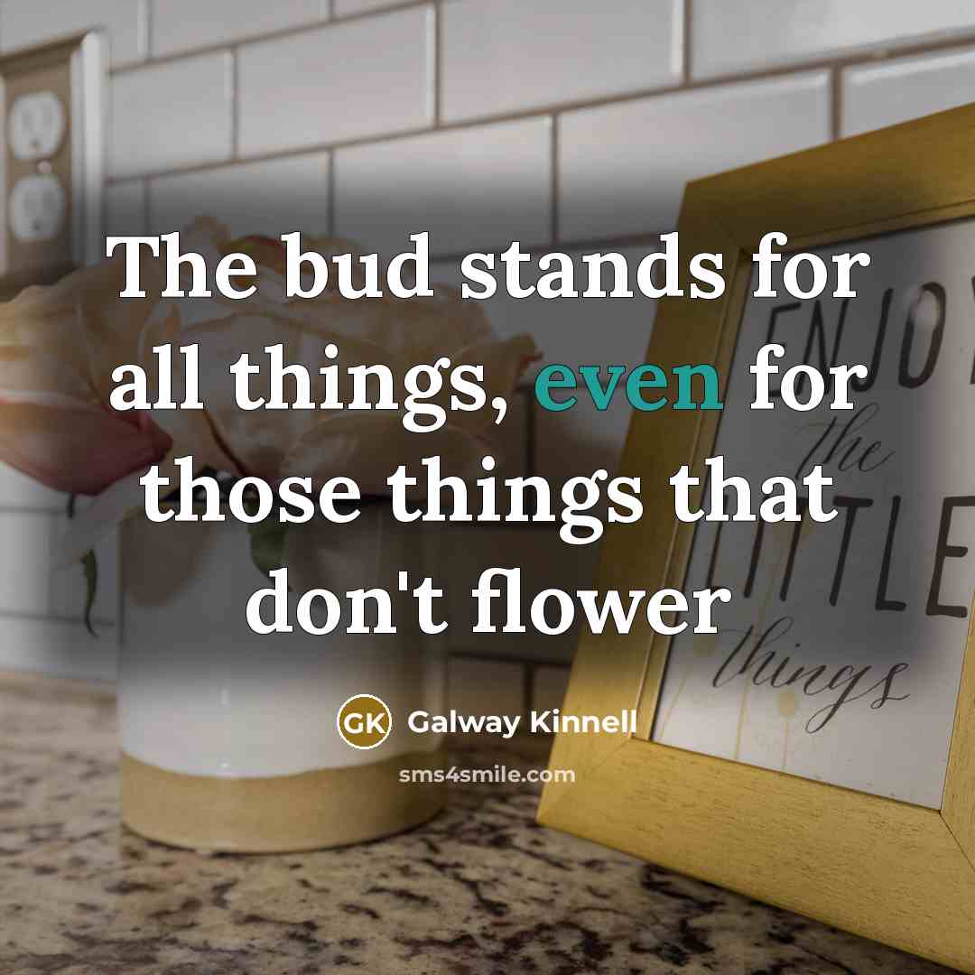 “The bud stands for all things, even for those things…” quote by Galway Kinnell