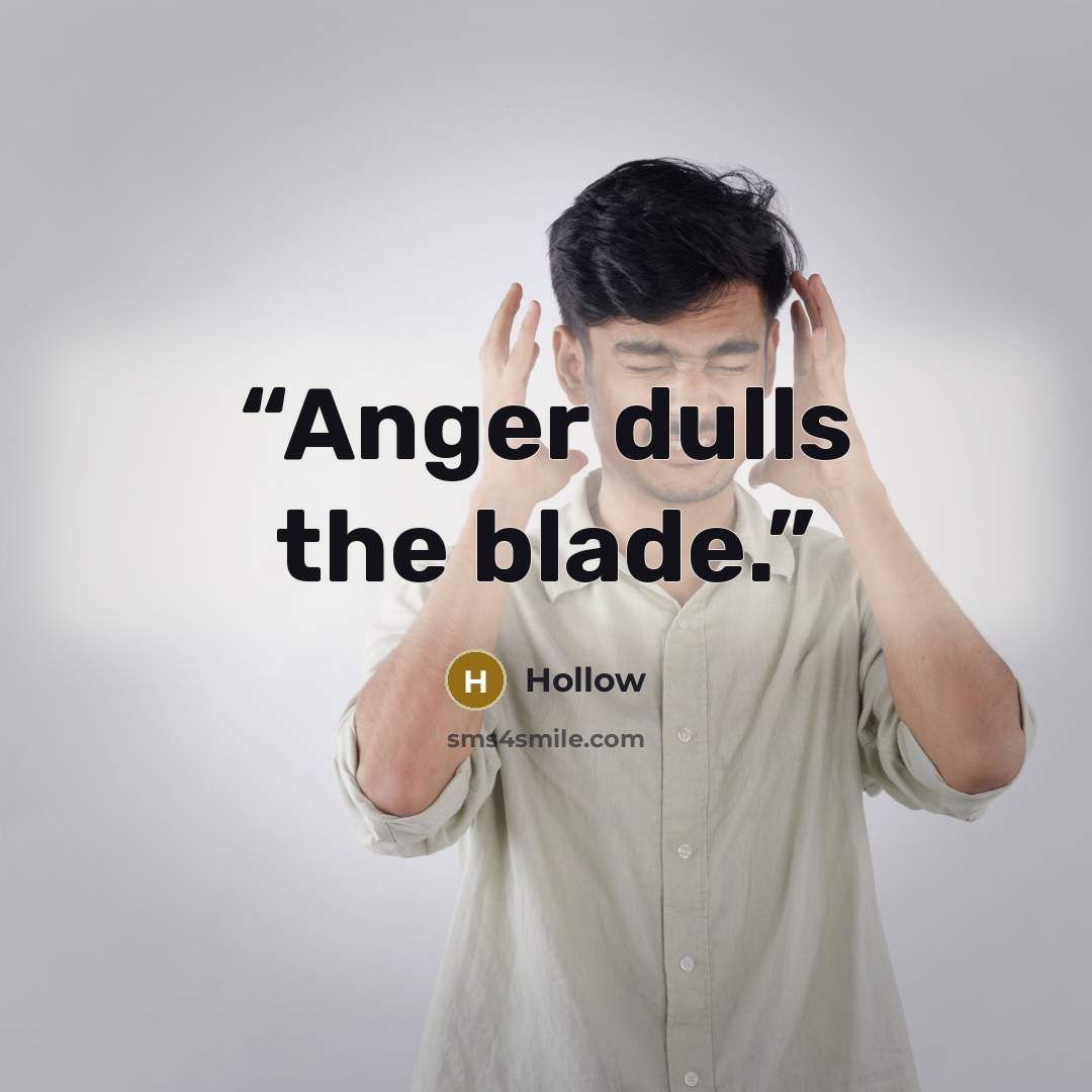 “Anger dulls the blade.” quote by Hollow