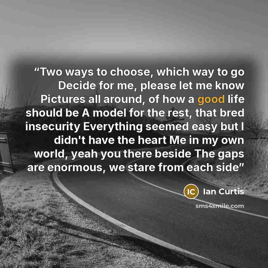 “Two ways to choose, which way to go Decide for me, please let me know Pictures all around, of how a good life should be A model for the rest, that bred insecurity Everything seemed easy but I didn't have the heart Me in my own world, yeah you there beside The gaps are enormous, we stare from each…” quote by Ian Curtis