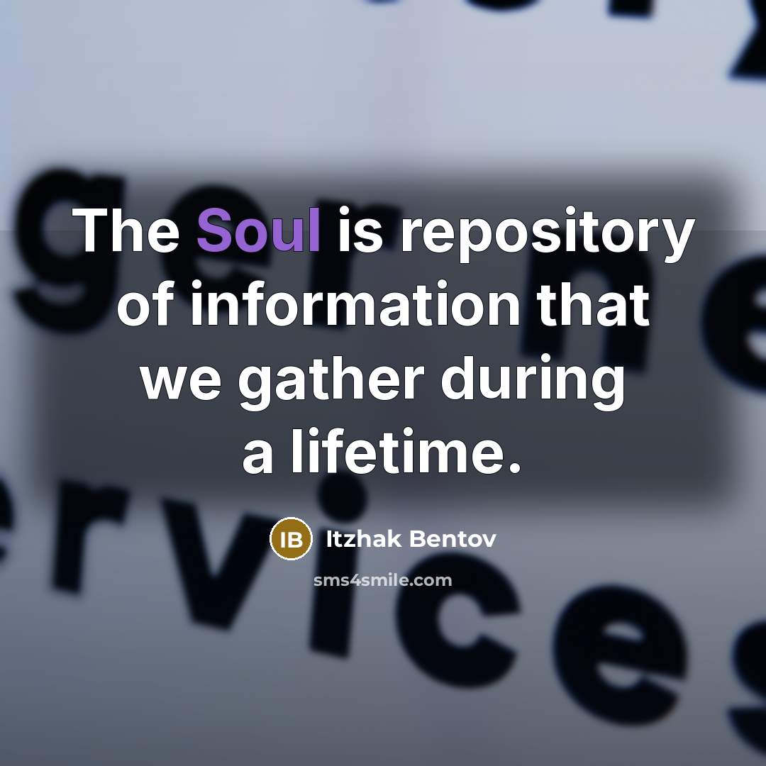 “The Soul is repository of information that we gather during…” quote by Itzhak Bentov