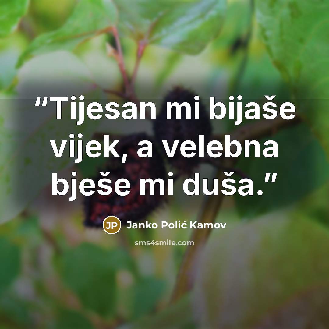 “Tijesan mi bijaše vijek, a velebna bješe mi duša.” quote by Janko Polić Kamov