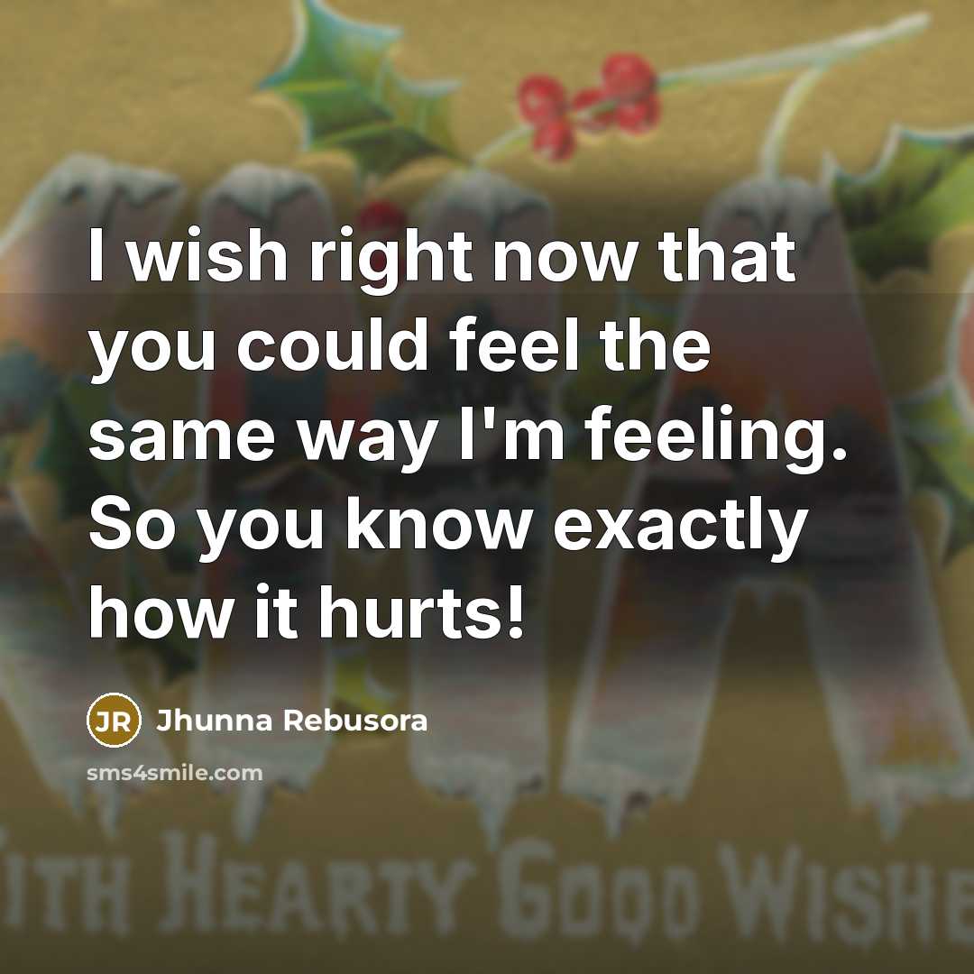 “I wish right now that you could feel the same…” quote by Jhunna Rebusora