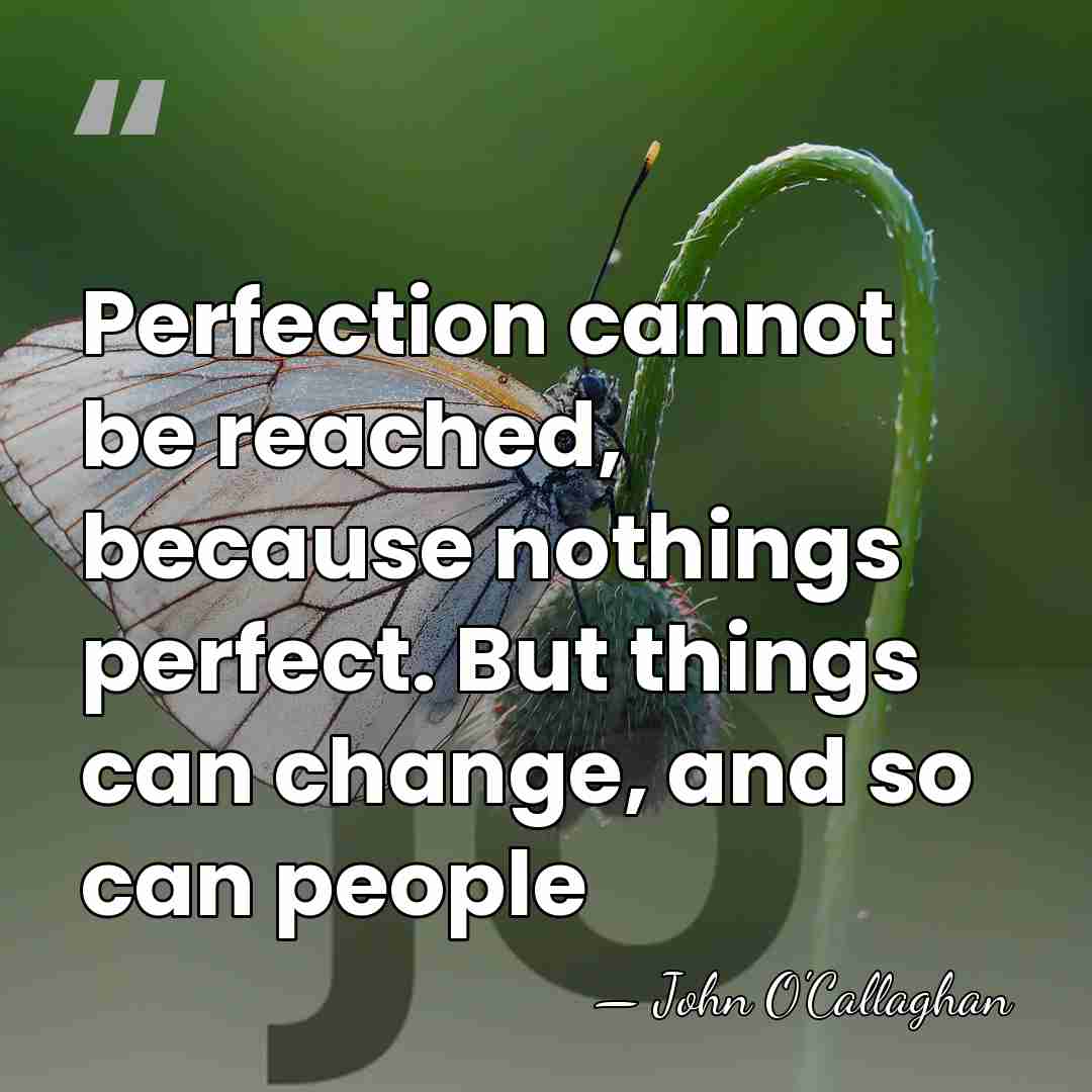 Perfection cannot be reached, because nothings perfect. But things can change, and&hellip; - John O'Callaghan