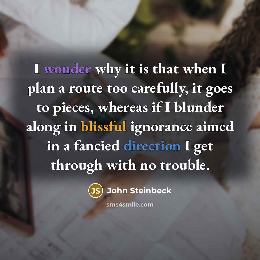 “I wonder why it is that when I plan a route too carefully, it goes to pieces, whereas if I blunder along in blissful ignorance aimed in a fancied direction I get through with no trouble.” quote by John Steinbeck