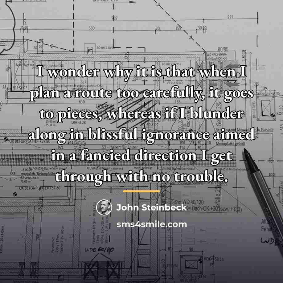 “I wonder why it is that when I plan a…” quote by John Steinbeck