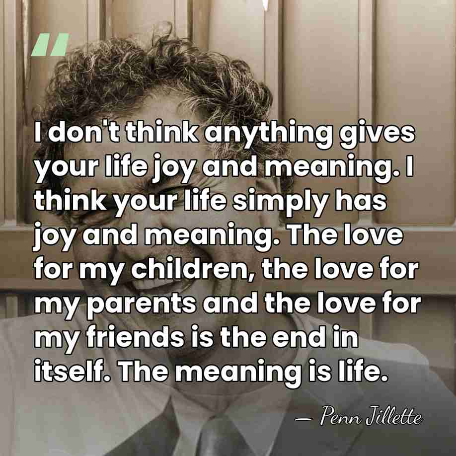 I don't think anything gives your life joy and meaning. I think&hellip; - Penn Jillette