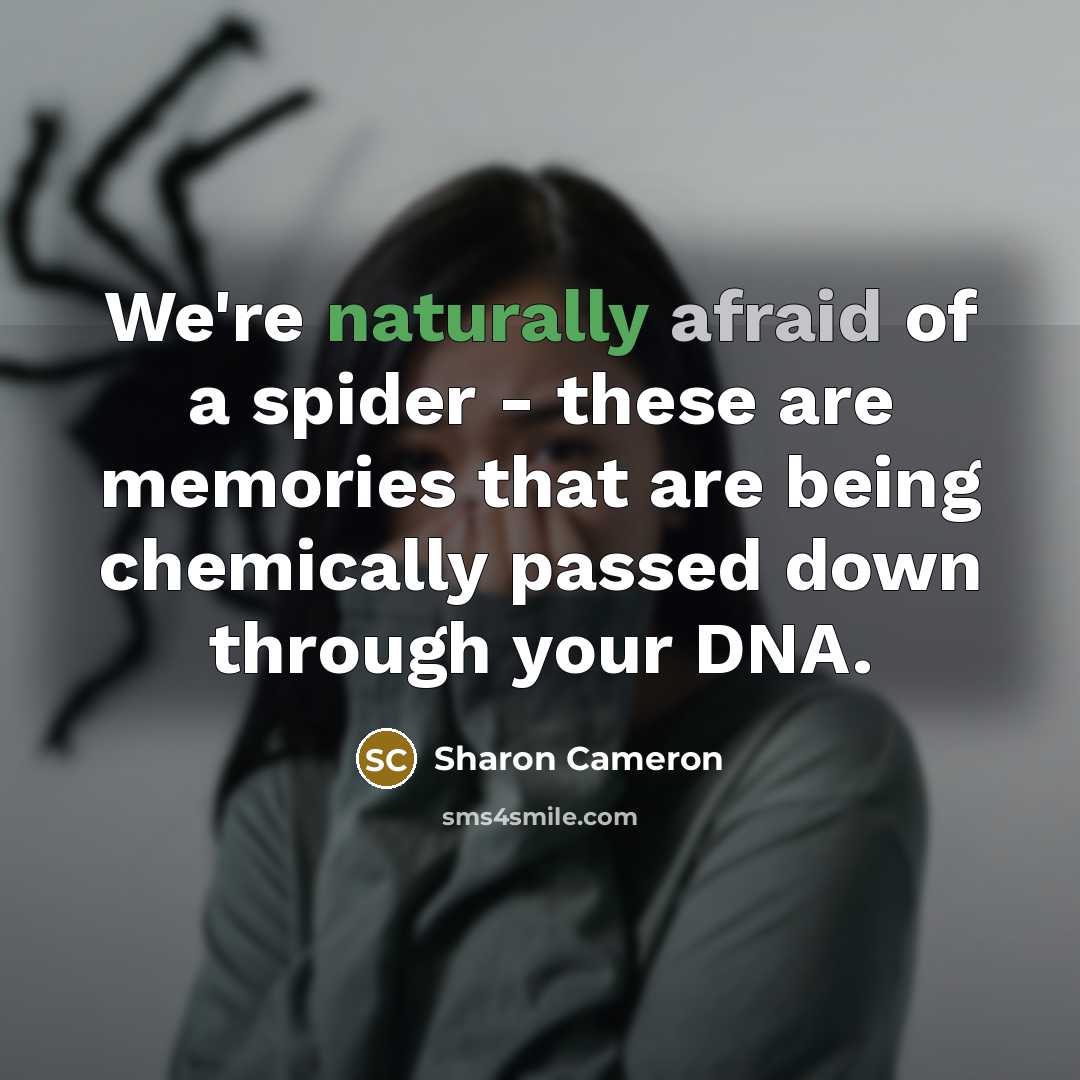 “We're naturally afraid of a spider - these are memories that are being chemically passed down through your DNA.” quote by Sharon Cameron