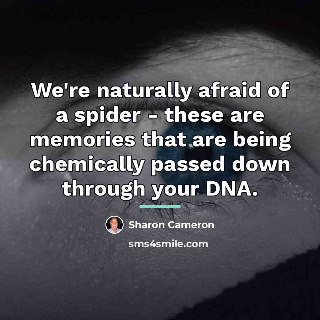 “We're naturally afraid of a spider - these are memories…” quote by Sharon Cameron