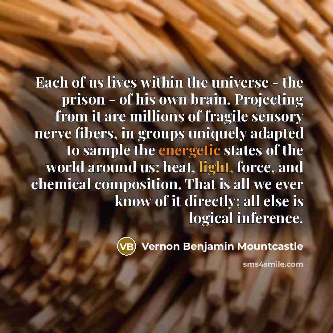 “Each of us lives within the universe - the prison…” quote by Vernon Benjamin Mountcastle