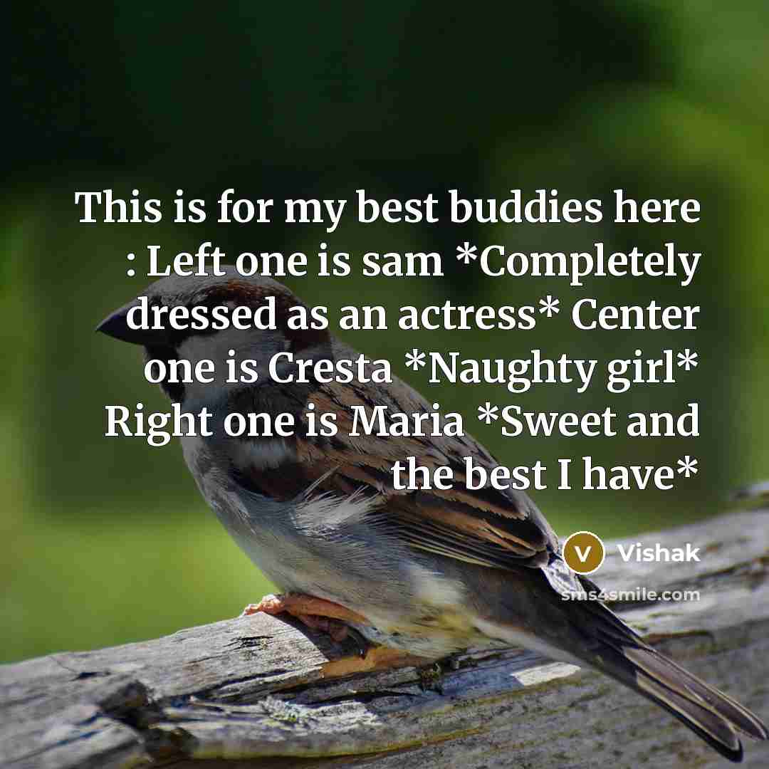 “This is for my best buddies here : Left one is sam *Completely dressed as an actress* Center one is Cresta *Naughty girl* Right one is Maria *Sweet and the best I have*” quote by Vishak