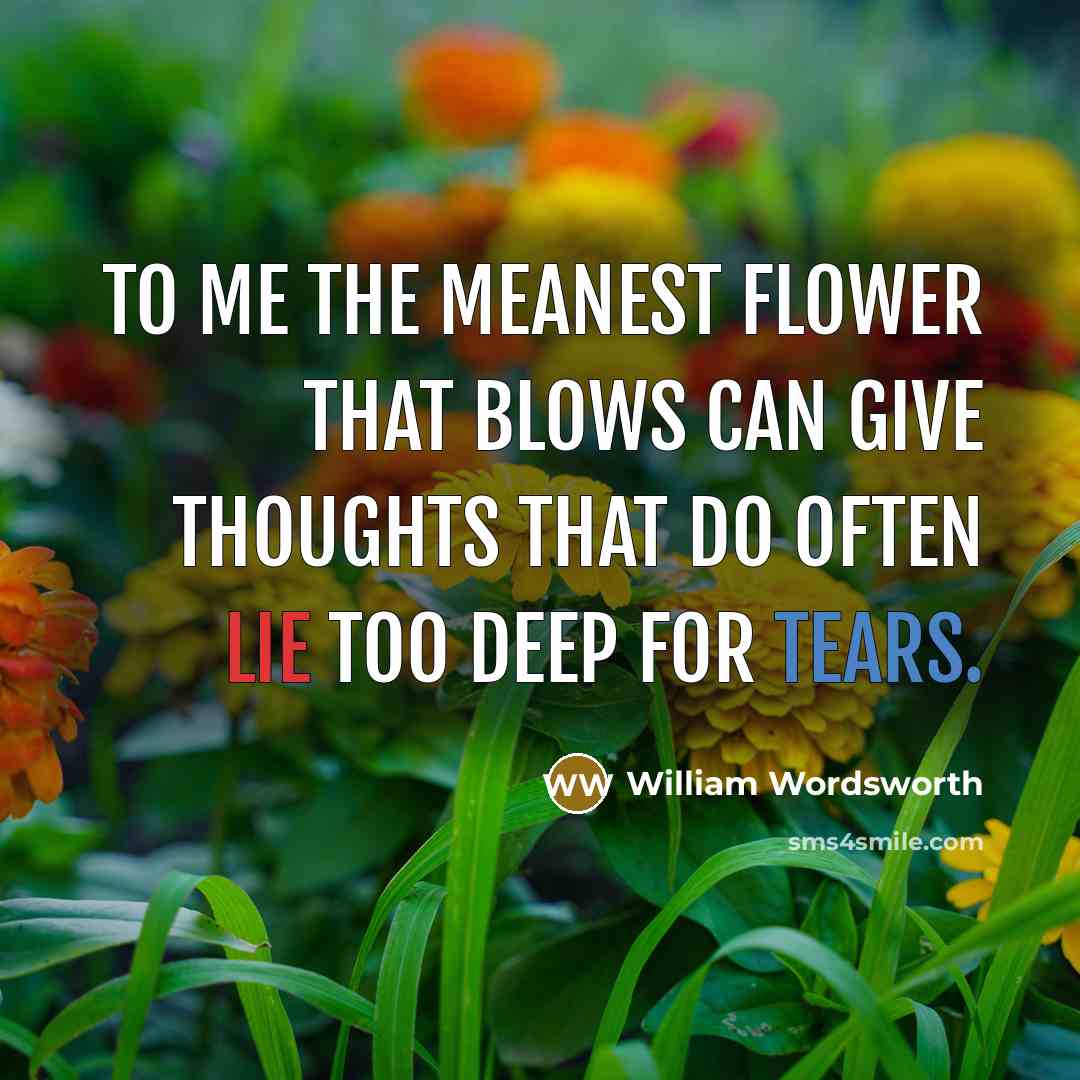 “To me the meanest flower that blows can give thoughts…” quote by William Wordsworth