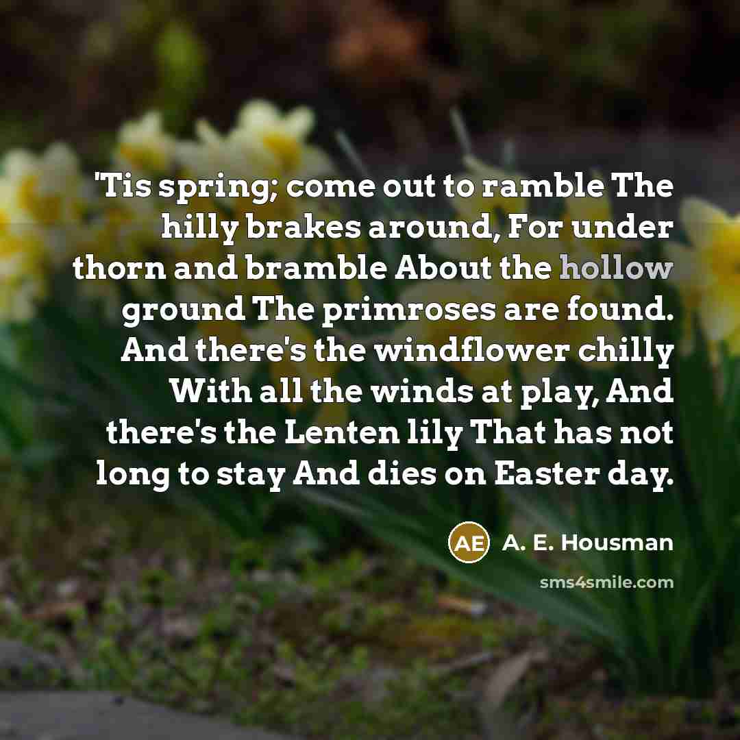 “'Tis spring; come out to ramble The hilly brakes around,…” quote by A. E. Housman