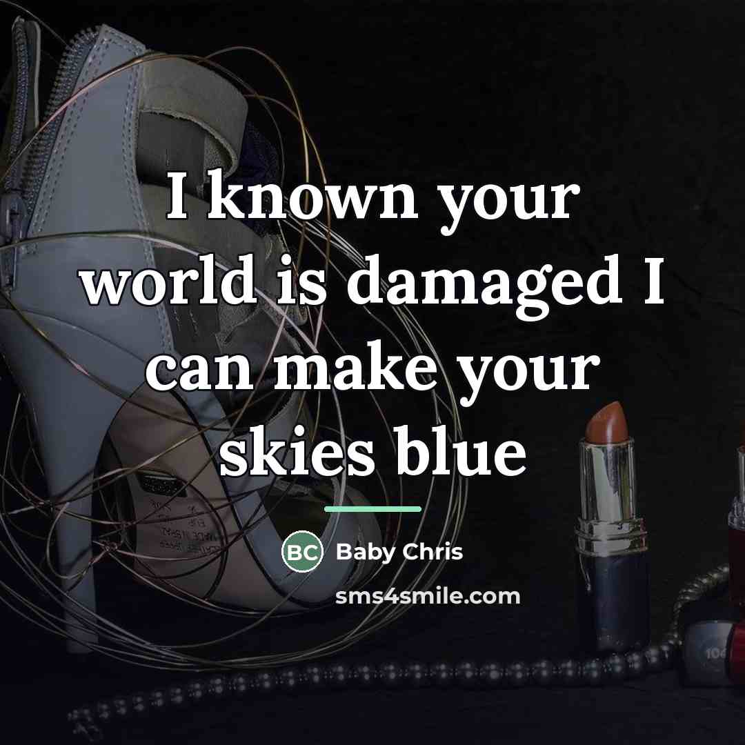 “I known your world is damaged I can make your…” quote by Baby Chris