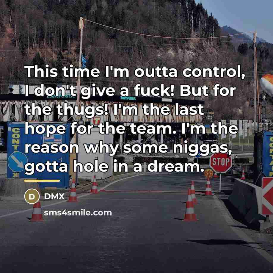 “This time I'm outta control, I don't give a fuck!…” quote by Dmx