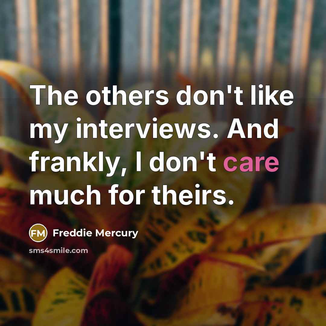 “The others don't like my interviews. And frankly, I don't…” quote by Freddie Mercury