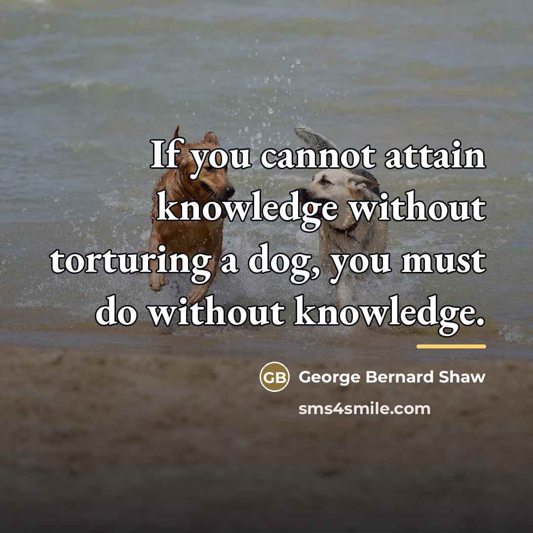 “If you cannot attain knowledge without torturing a dog, you…” quote by George Bernard Shaw