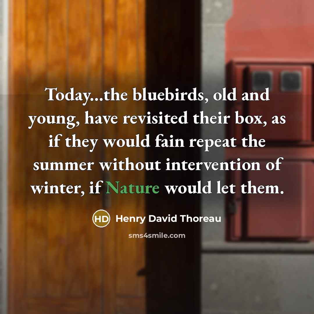 “Today...the bluebirds, old and young, have revisited their box, as…” quote by Henry David Thoreau