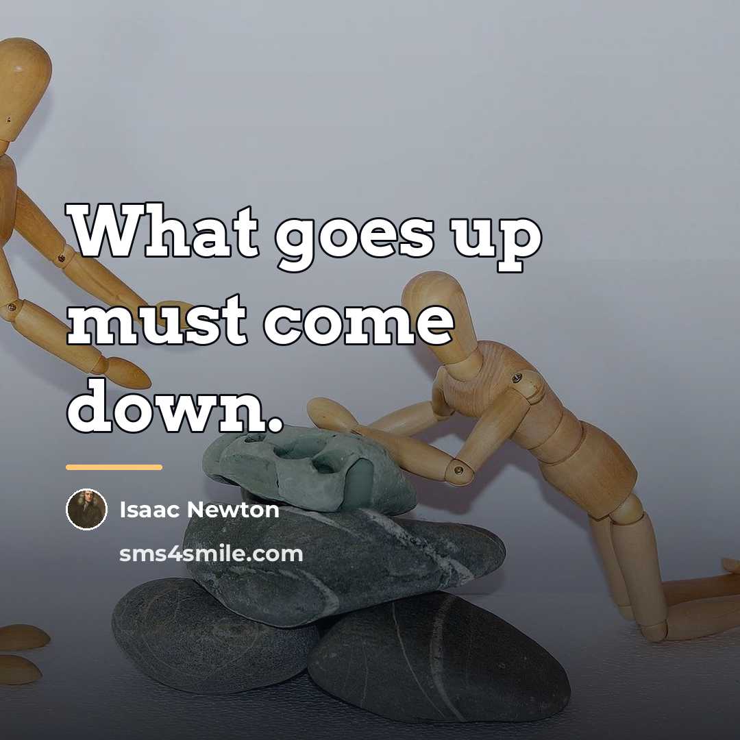 “What goes up must come down.…” quote by Isaac Newton