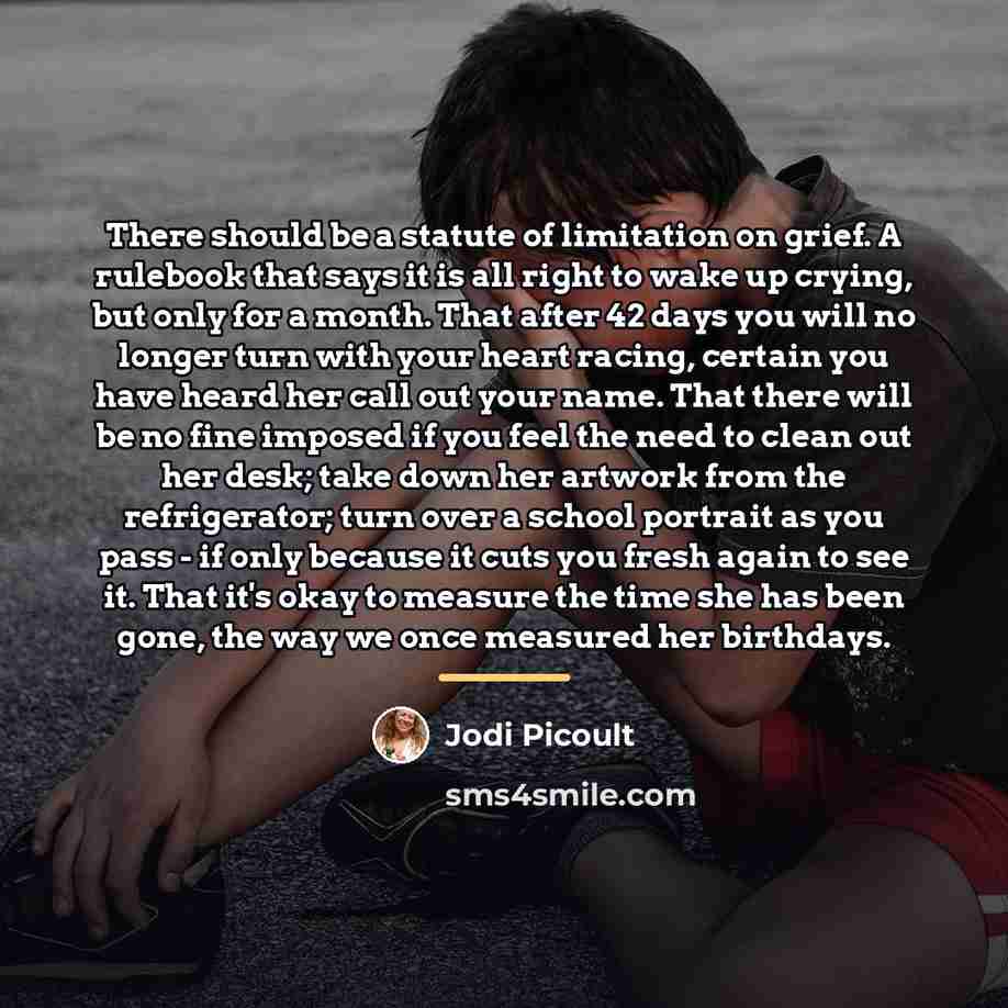 “There should be a statute of limitation on grief. A…” quote by Jodi Picoult