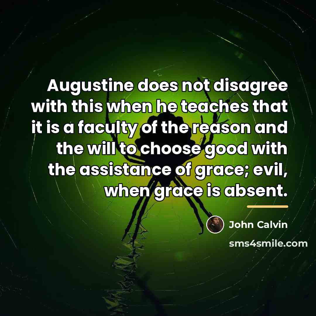 “Augustine does not disagree with this when he teaches that…” quote by John Calvin
