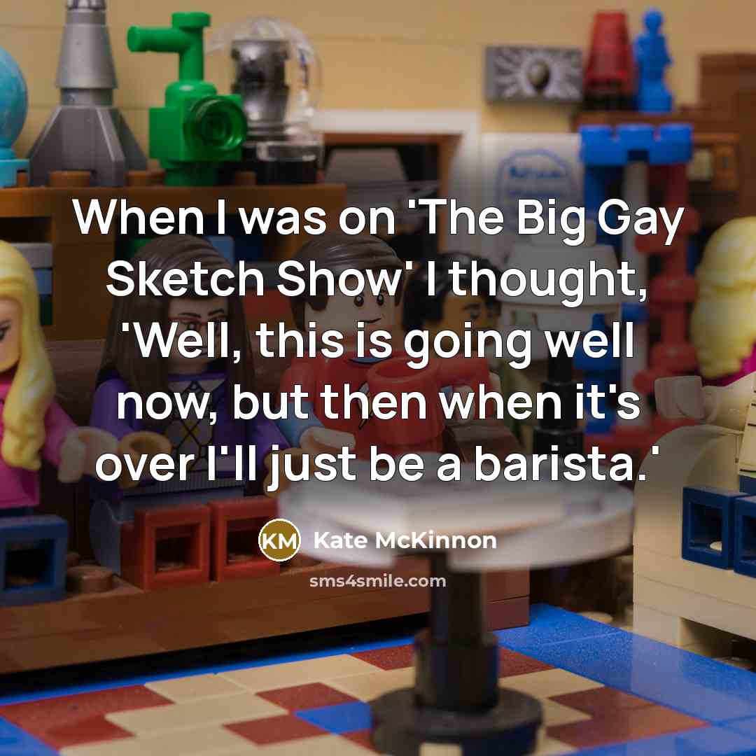 “When I was on 'The Big Gay Sketch Show' I…” quote by Kate McKinnon