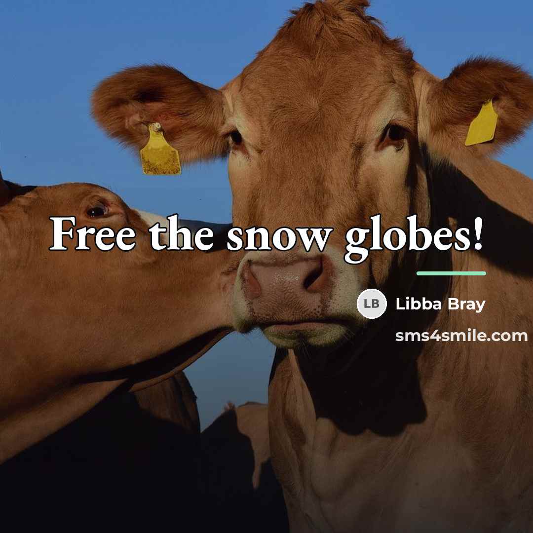 “Free the snow globes!…” quote by Libba Bray