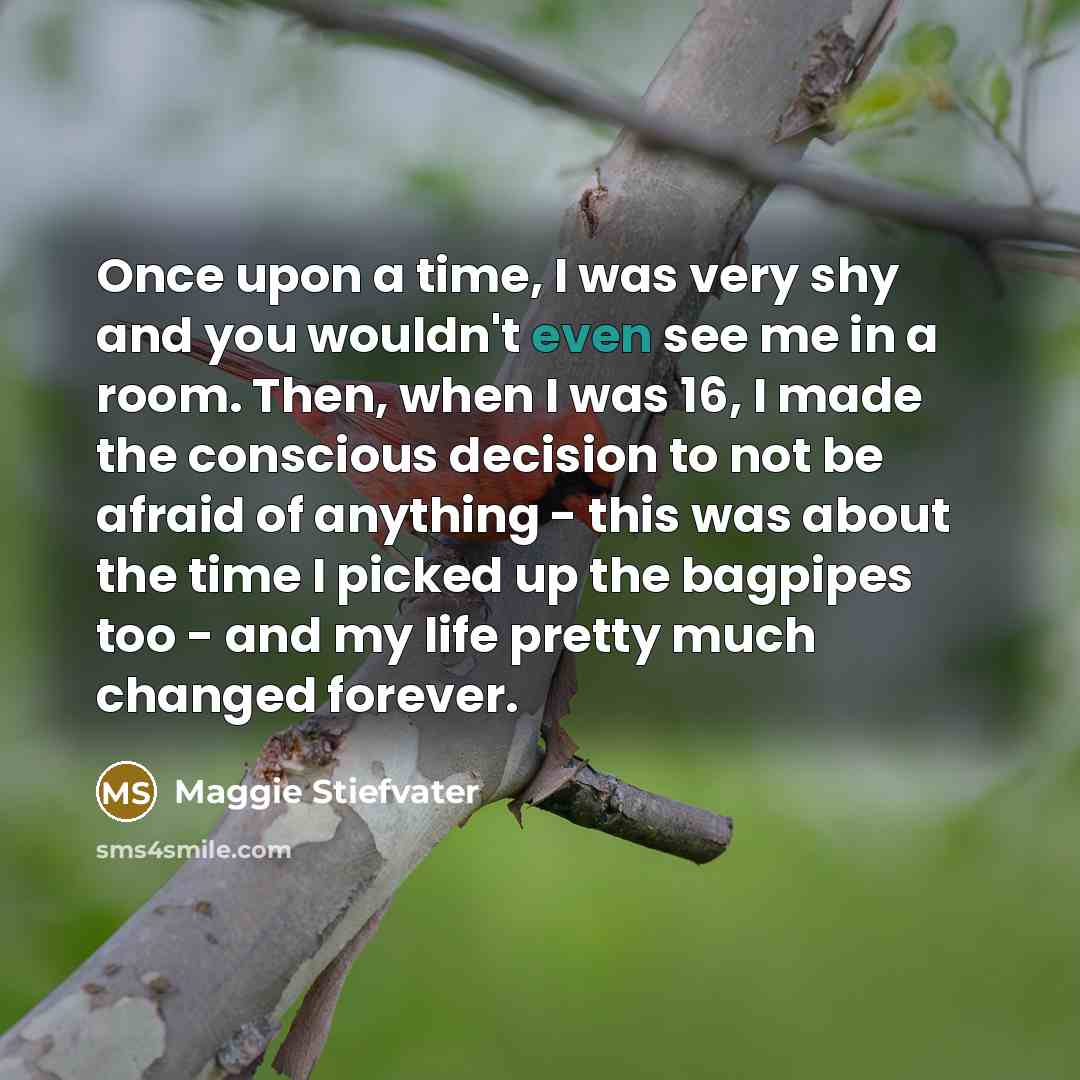 “Once upon a time, I was very shy and you…” quote by Maggie Stiefvater