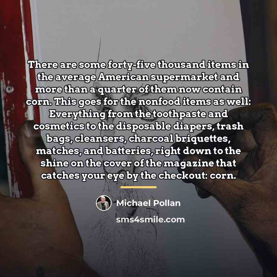 “There are some forty-five thousand items in the average American…” quote by Michael Pollan
