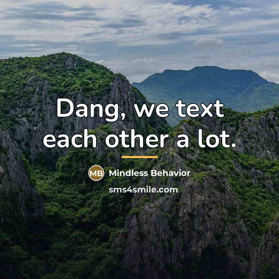 “Dang, we text each other a lot.…” quote by Mindless Behavior