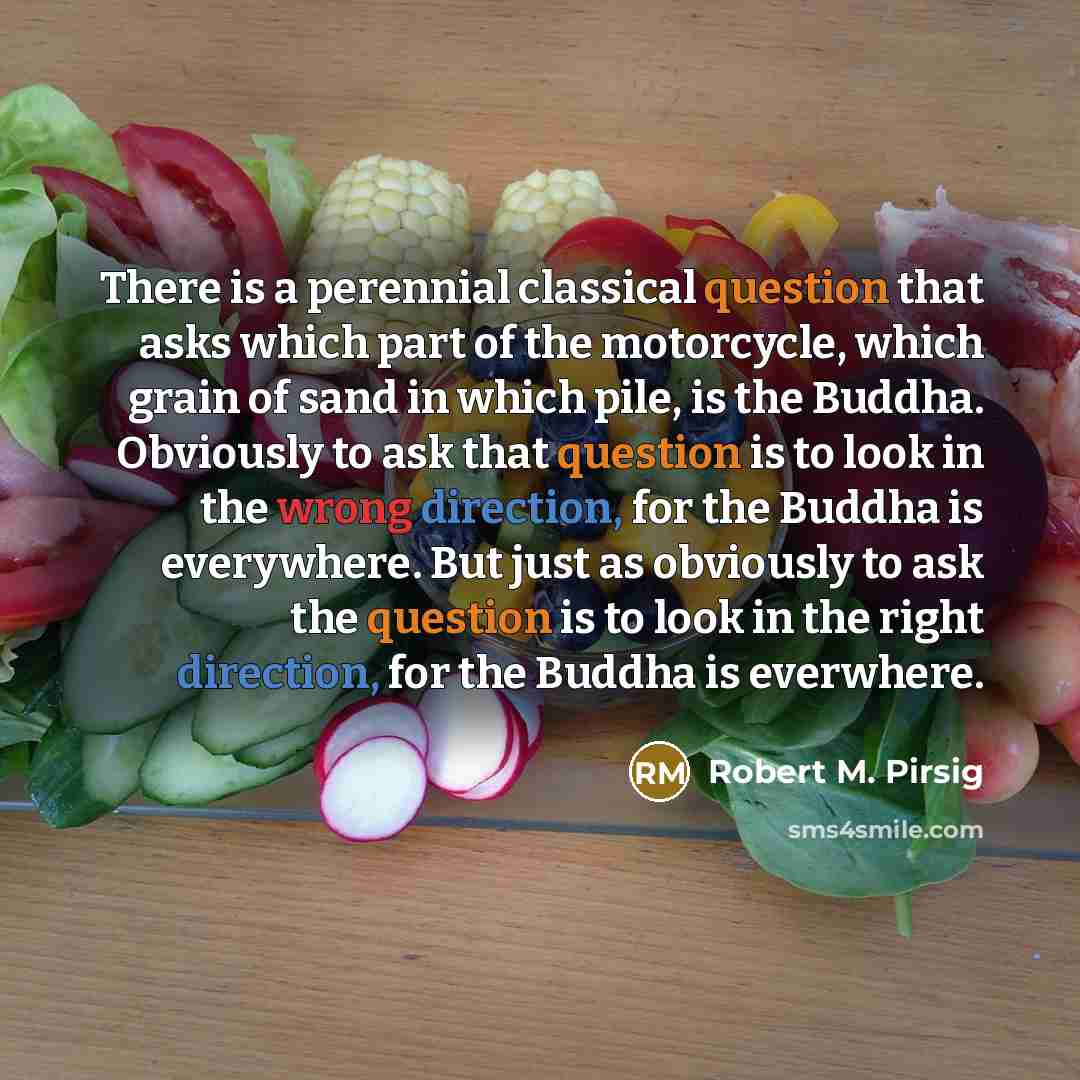 “There is a perennial classical question that asks which part of the motorcycle, which grain of sand in which pile, is the Buddha. Obviously to ask that question is to look in the wrong direction, for the Buddha is everywhere. But just as obviously to ask the question is to look in the right…” quote by Robert M. Pirsig