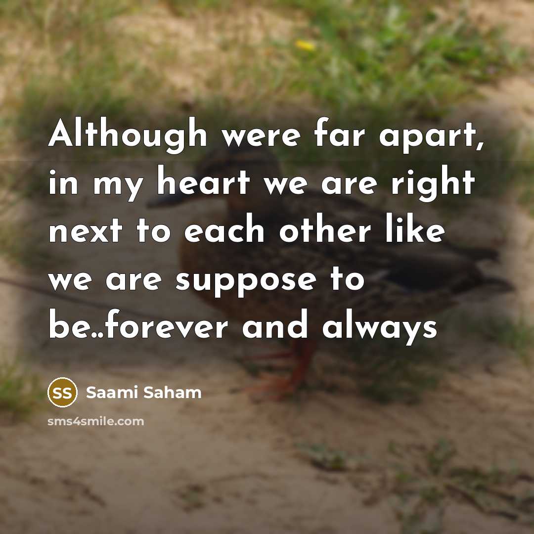“Although were far apart, in my heart we are right next to each other like we are suppose to be..forever and always” quote by Saami Saham