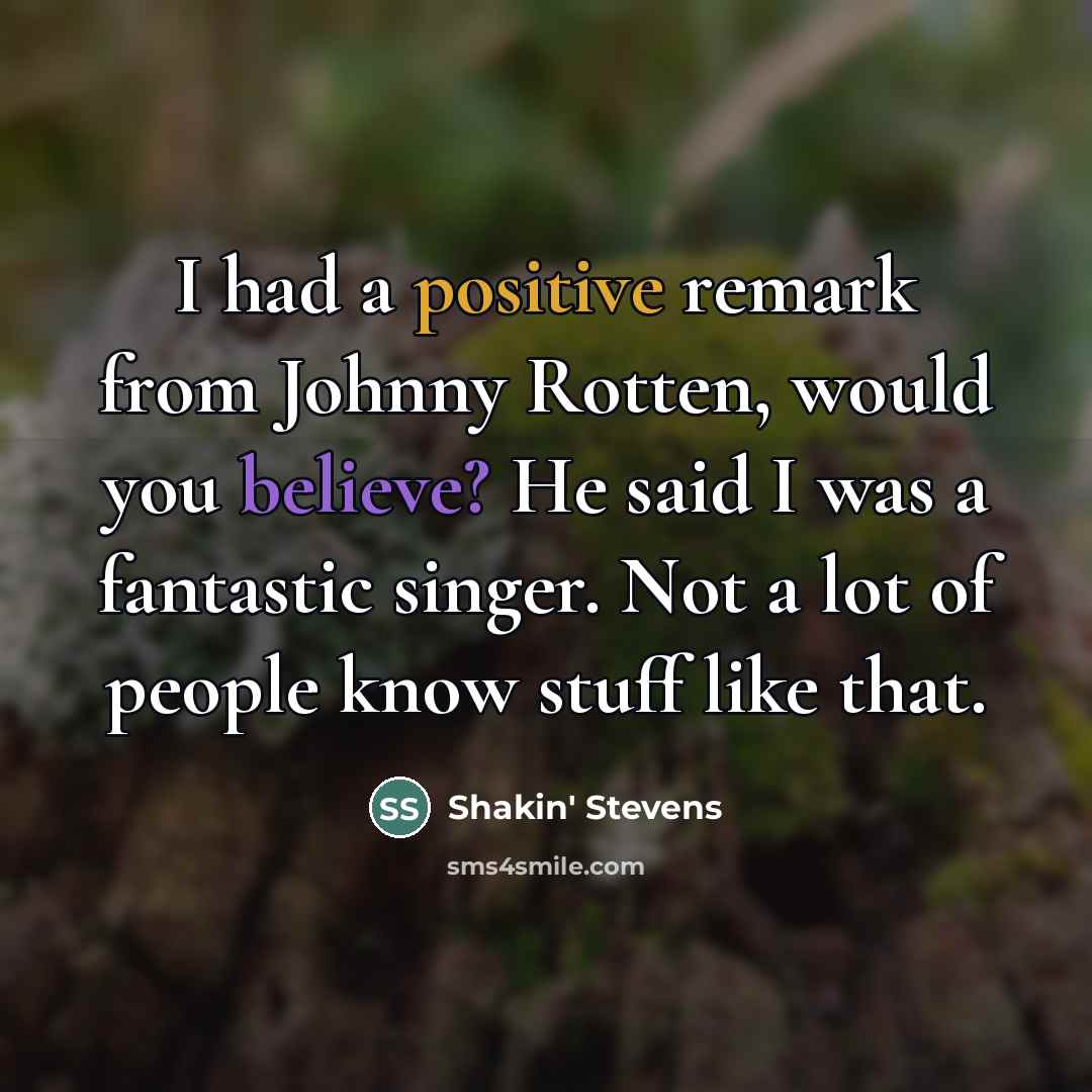 “I had a positive remark from Johnny Rotten, would you…” quote by Shakin' Stevens