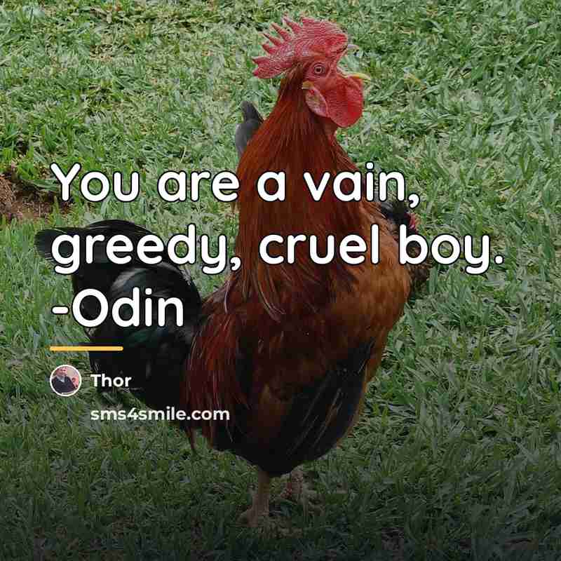 “You are a vain, greedy, cruel boy. -Odin…” quote by Thor