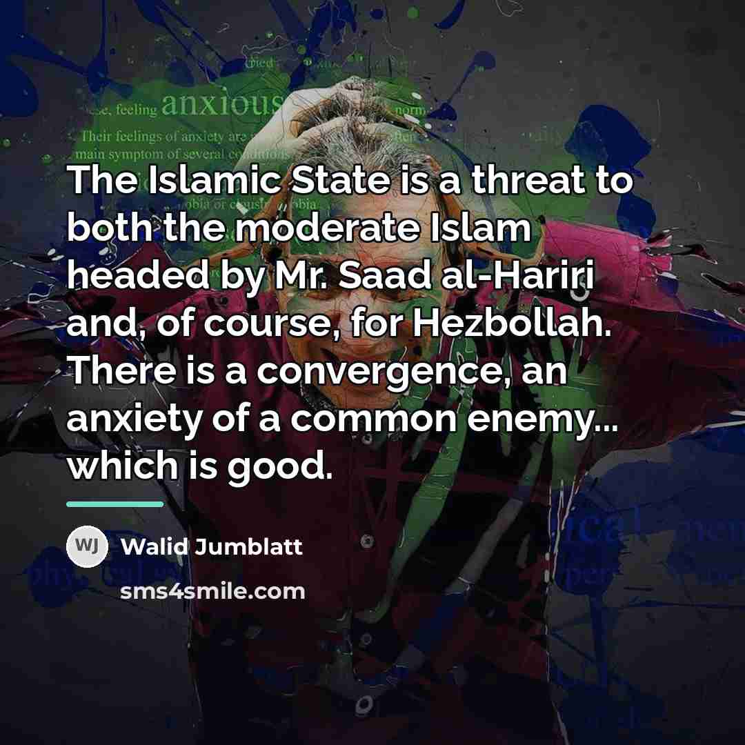 “The Islamic State is a threat to both the moderate…” quote by Walid Jumblatt