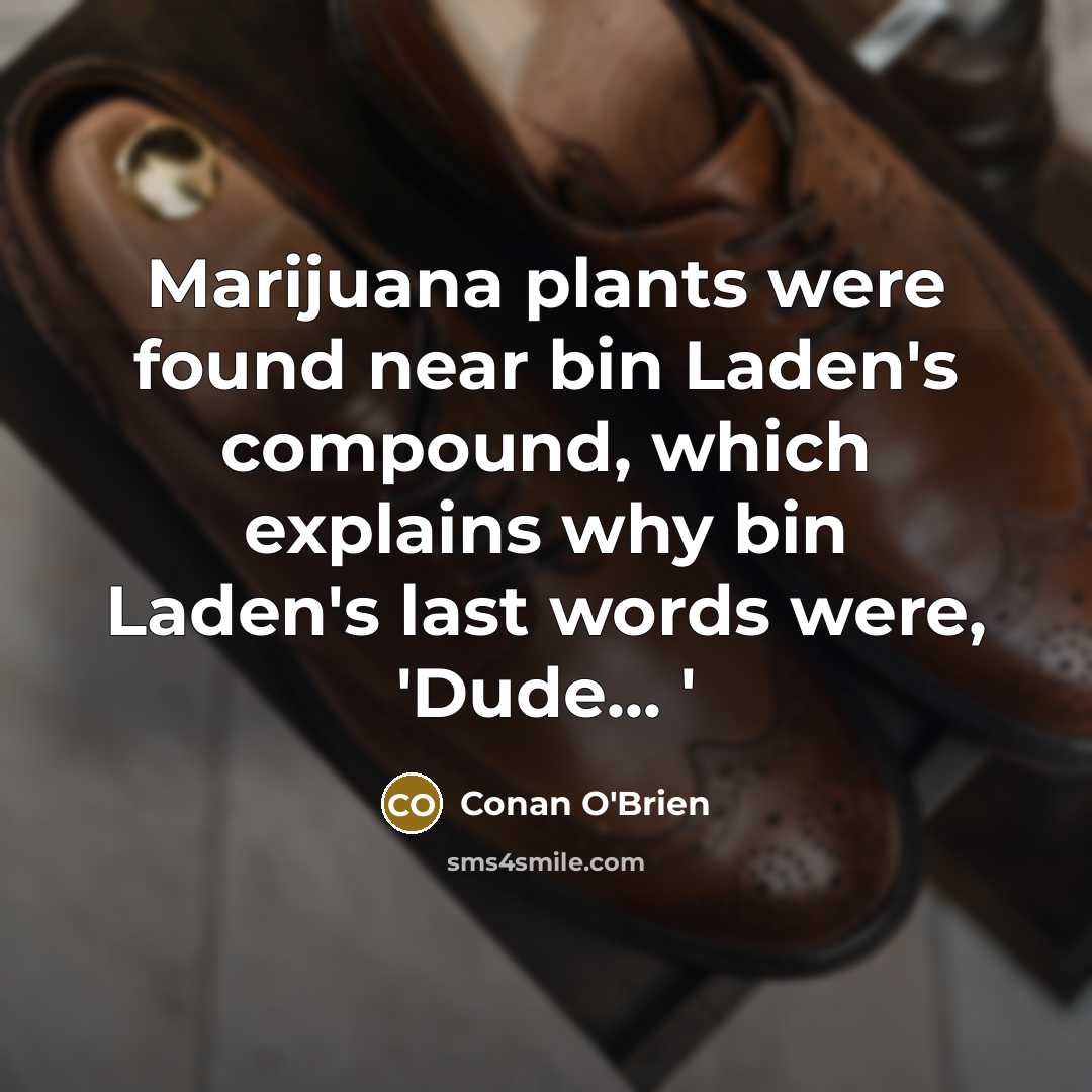 “Marijuana plants were found near bin Laden's compound, which explains…” quote by Conan O'Brien