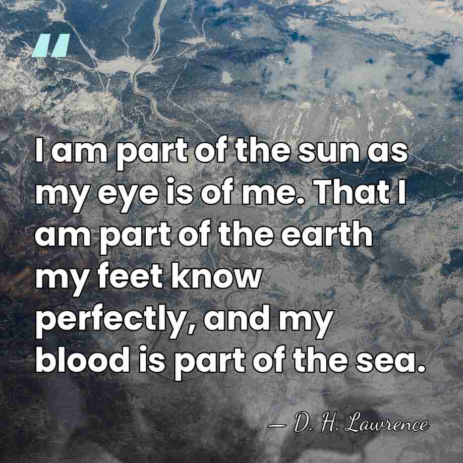 I am part of the sun as my eye is of me.&hellip; - D. H. Lawrence