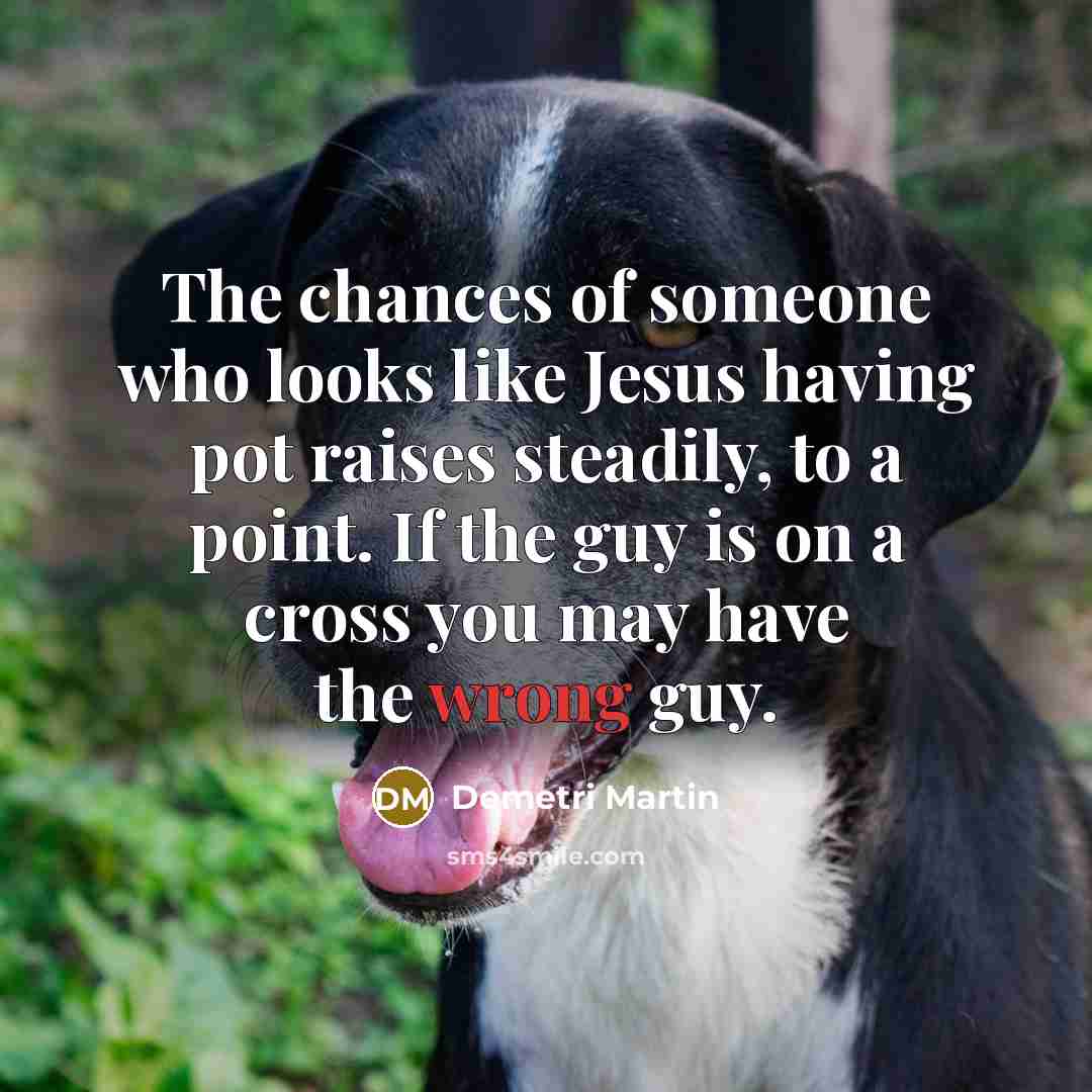“The chances of someone who looks like Jesus having pot…” quote by Demetri Martin