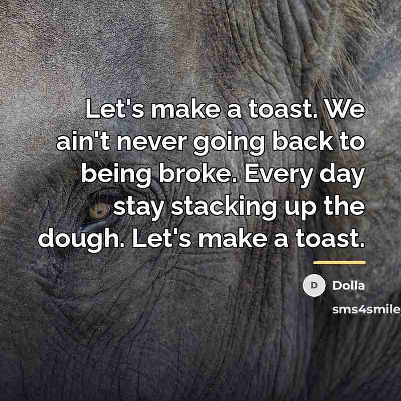 “Let's make a toast. We ain't never going back to…” quote by Dolla