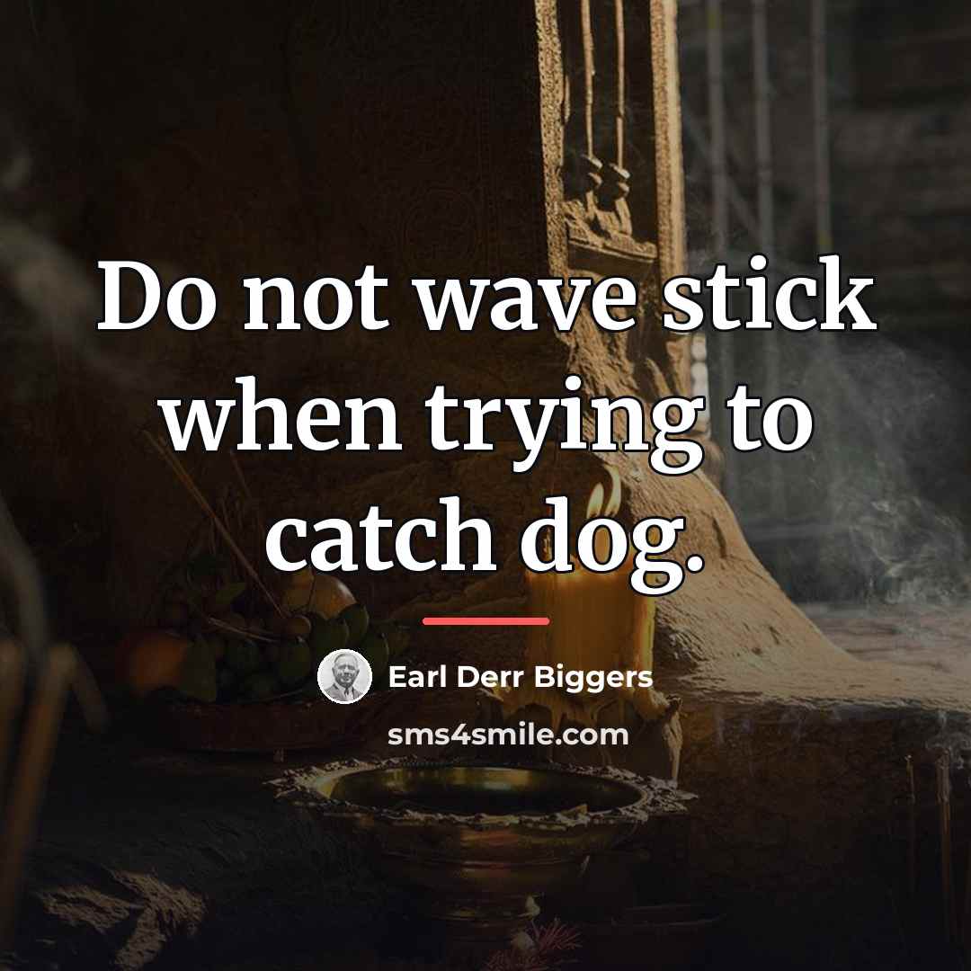 “Do not wave stick when trying to catch dog.…” quote by Earl Derr Biggers