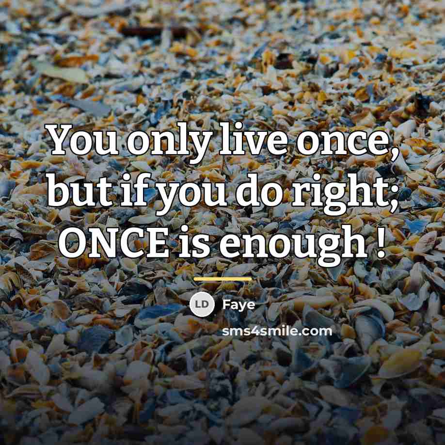 “You only live once, but if you do right; ONCE…” quote by Faye